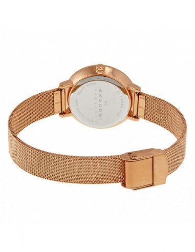 Ceas de dama Skagen SKW2213