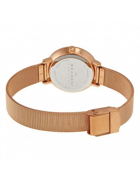Ceas de dama Skagen SKW2213