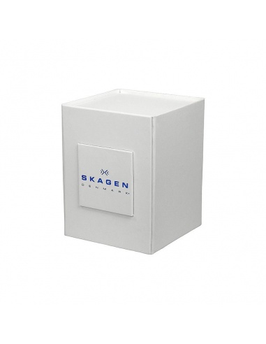 Ceas barbatesc Skagen Ancher SKW6143