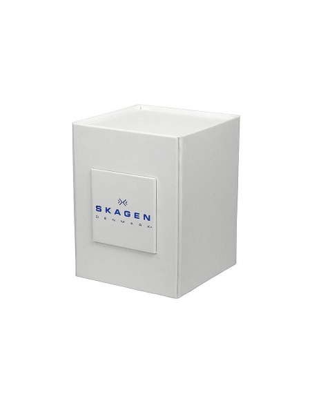 Ceas barbatesc Skagen Ancher SKW6143