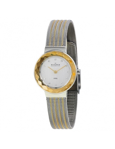 Ceas de dama Skagen Leonora 456SGS1