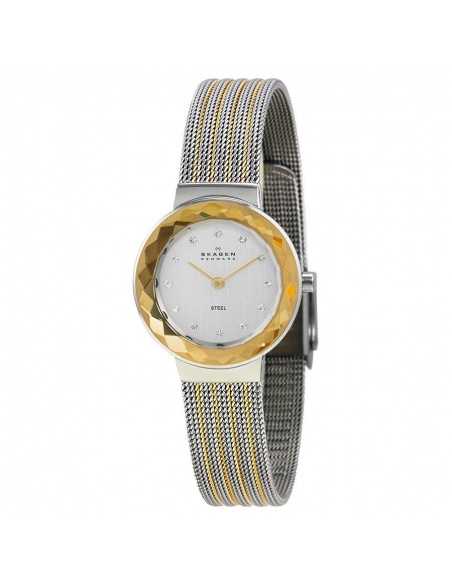 Ceas de dama Skagen Leonora 456SGS1