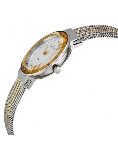 Ceas de dama Skagen Leonora 456SGS1