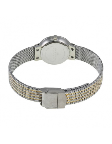 Ceas de dama Skagen Leonora 456SGS1