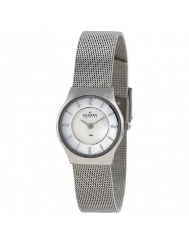 Ceas de dama Skagen Mesh 233XSSS