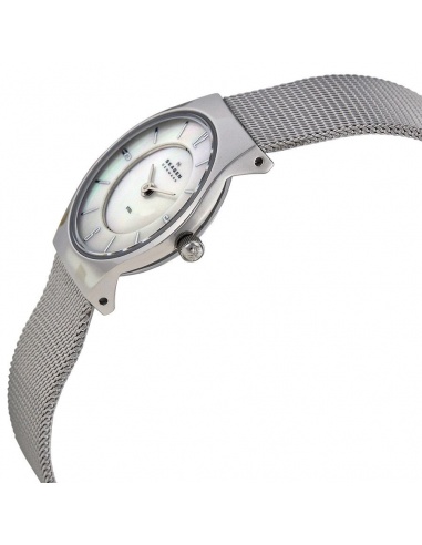 Ceas de dama Skagen Mesh 233XSSS