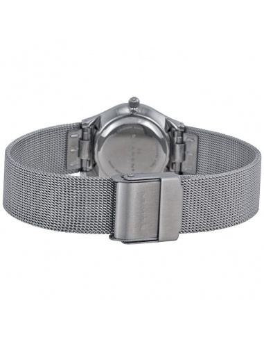 Ceas de dama Skagen Mesh 233XSSS