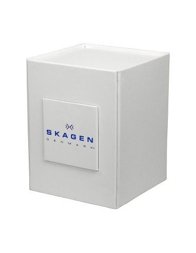 Ceas de dama Skagen Slimline 233XSTTM