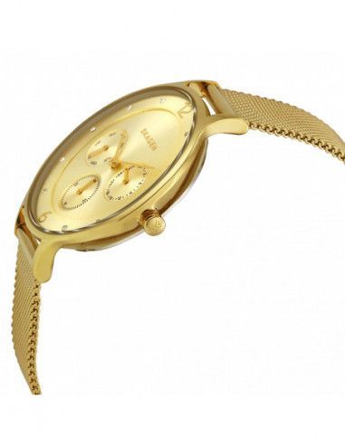 Ceas de dama Skagen Anita SKW2313