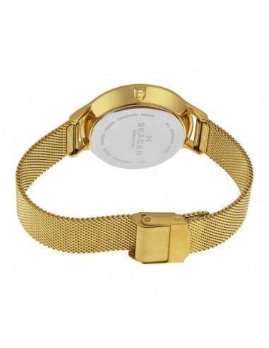 Ceas de dama Skagen Anita SKW2313