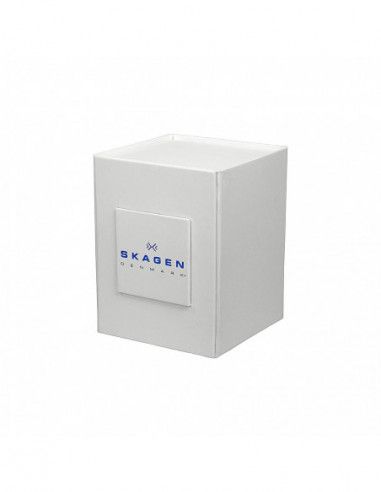 Ceas de dama Skagen Anita SKW2313