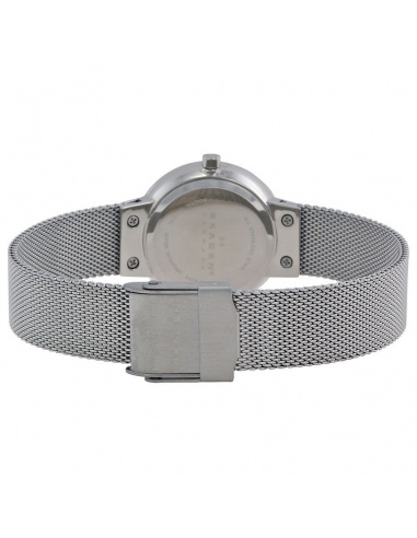 Ceas de dama Skagen 456SSS
