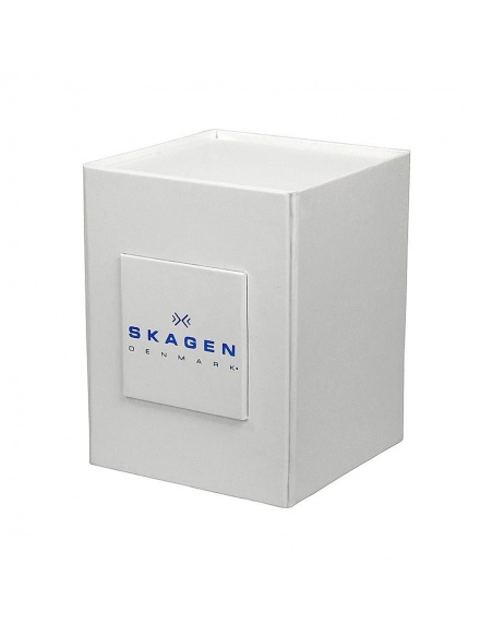 Ceas de dama Skagen 456SSS