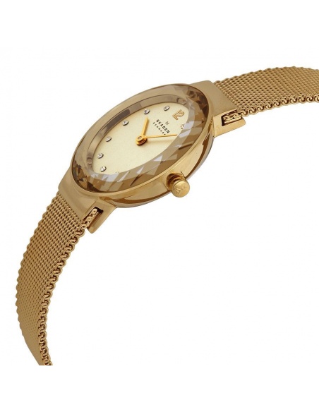 Ceas de dama Skagen Swarovski 456SGSG