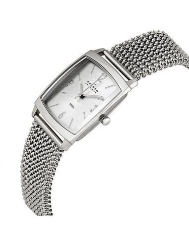 Ceas de dama Skagen 691SSS1