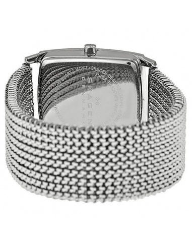 Ceas de dama Skagen 691SSS1