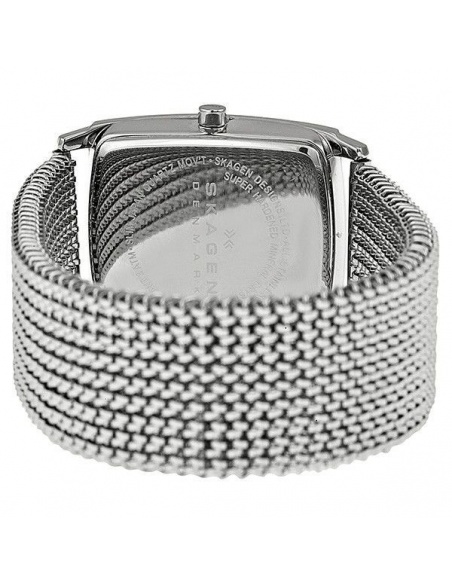 Ceas de dama Skagen 691SSS1