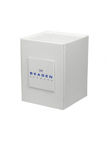 Ceas barbatesc Skagen Melbye SKW6007