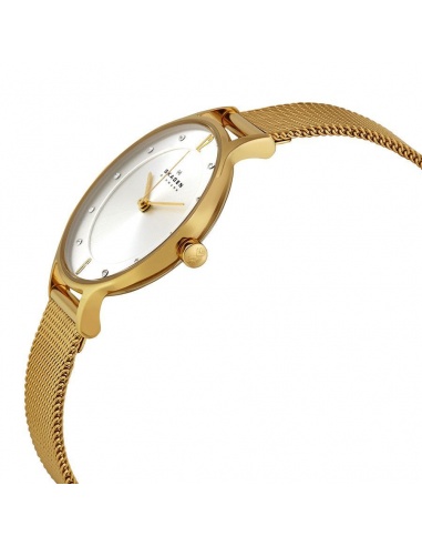 Ceas de dama Skagen Anita SKW2150