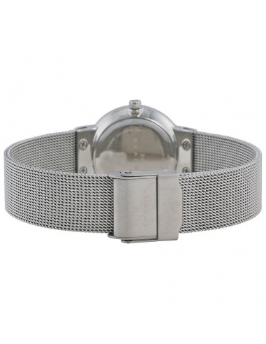 Ceas de dama Skagen Mesh 355SGSC