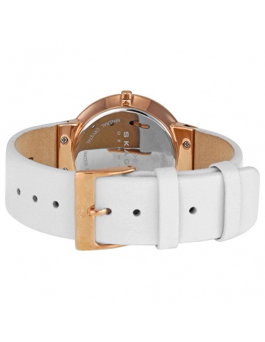 Ceas de dama Skagen SKW2034