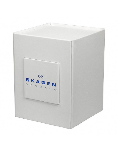 Ceas de dama Skagen SKW2034