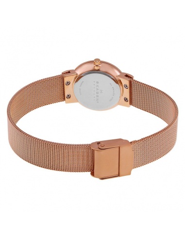 Ceas de dama Skagen Freja 358SRRD