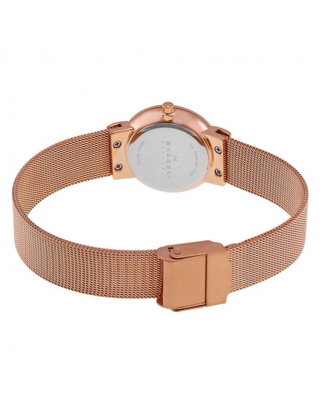 Ceas de dama Skagen Freja 358SRRD