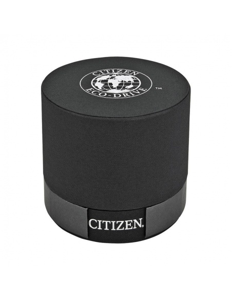 Ceas barbatesc Citizen Eco-Drive BV1085-22H