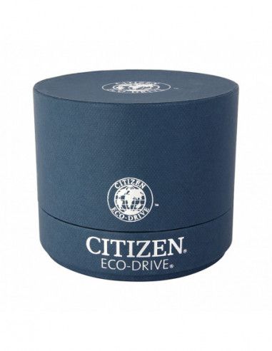 Ceas de dama Citizen Silhouette EG2784-58A