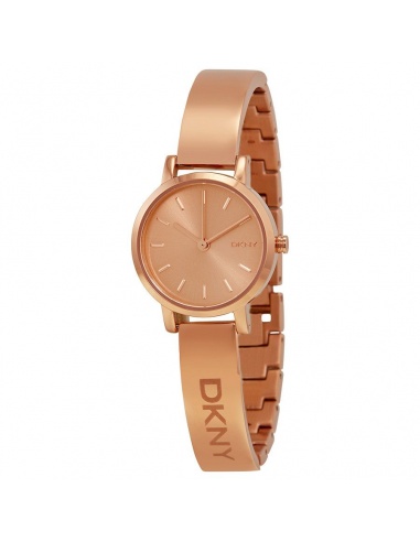 Ceas de dama DKNY NY2308