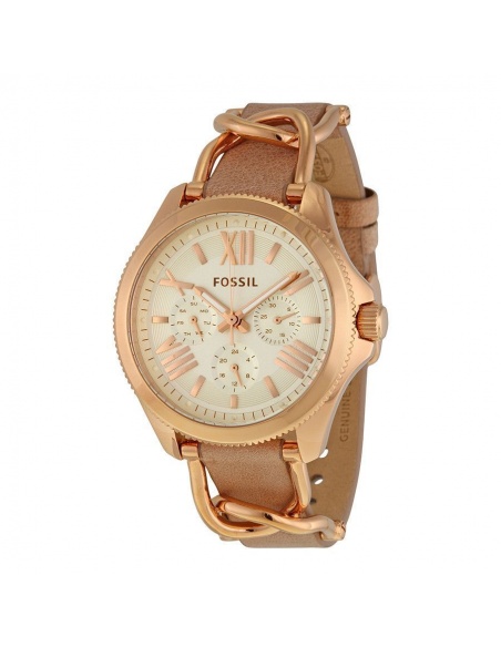Ceas de dama Fossil Cecile AM4620