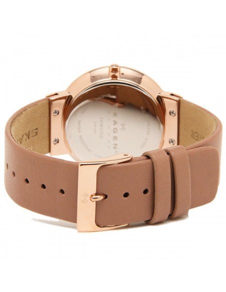 Ceas de dama Skagen SKW2168