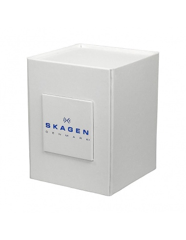 Ceas barbatesc Skagen Ancher SKW6104