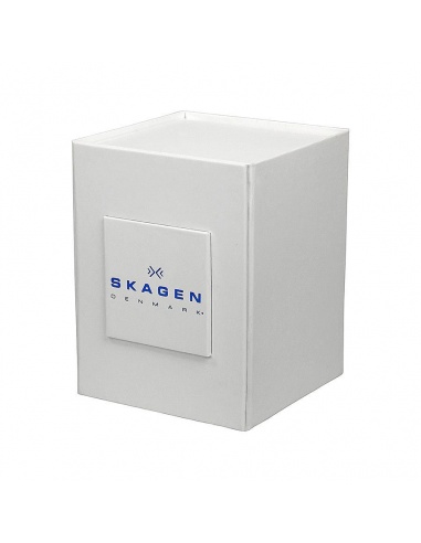 Ceas barbatesc Skagen Holst SKW6066