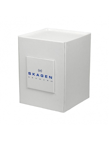 Ceas de dama Skagen 358SSSBD