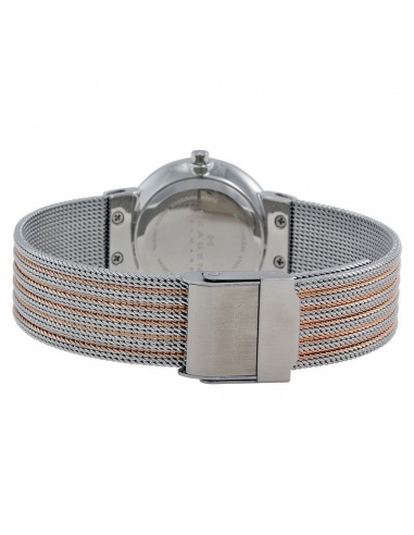Ceas de dama Skagen 355SSRS