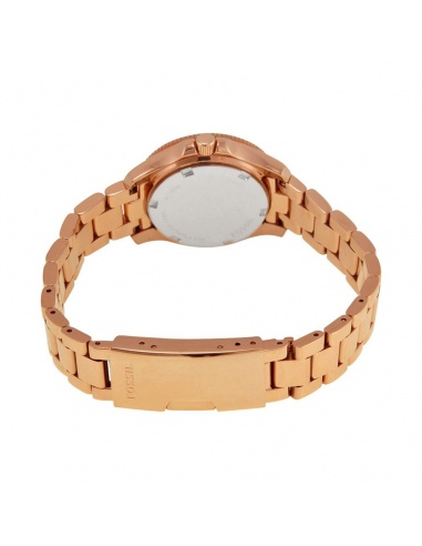 Ceas de dama Fossil Cecile AM4615