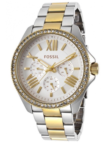 Ceas de dama Fossil Cecile AM4543
