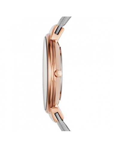 Ceas de dama Skagen Ancher SKW2164
