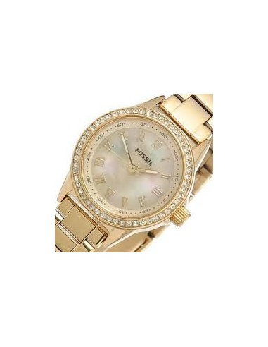 Ceas de dama Fossil BQ1098