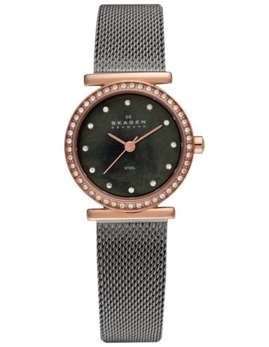 Ceas de dama Skagen 108SRM
