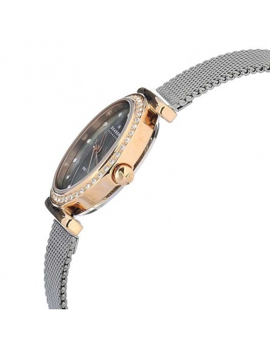 Ceas de dama Skagen 108SRM