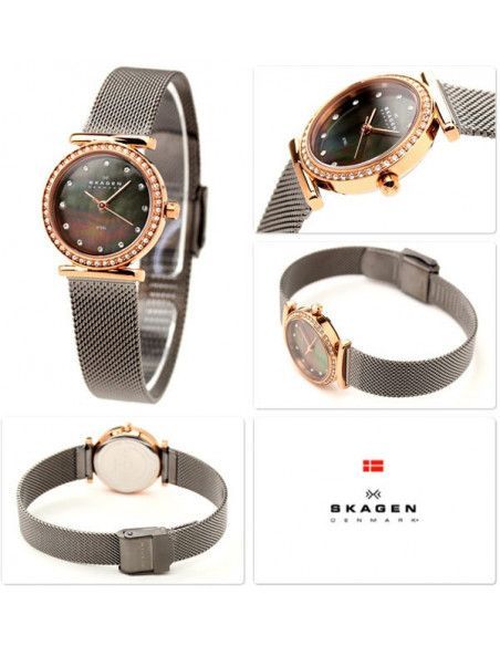 Ceas de dama Skagen 108SRM