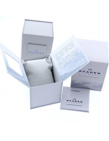 Ceas de dama Skagen 812SSS