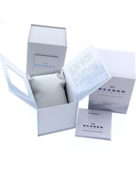 Ceas de dama Skagen 812SSS
