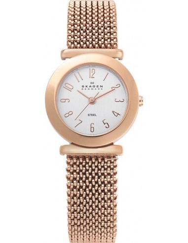 Ceas de dama Skagen 107SRR1