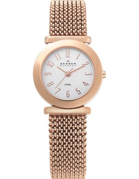Ceas de dama Skagen 107SRR1