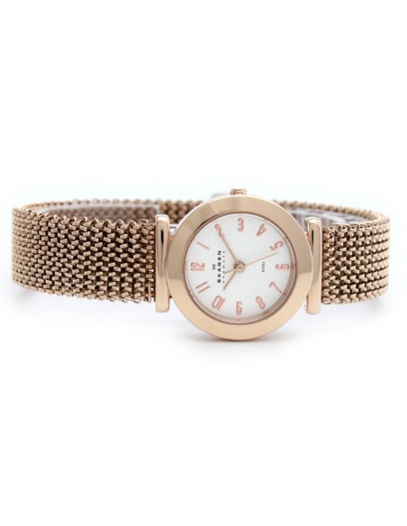 Ceas de dama Skagen 107SRR1