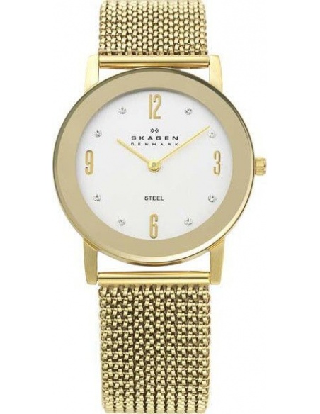 Ceas de dama Skagen 107SGG1